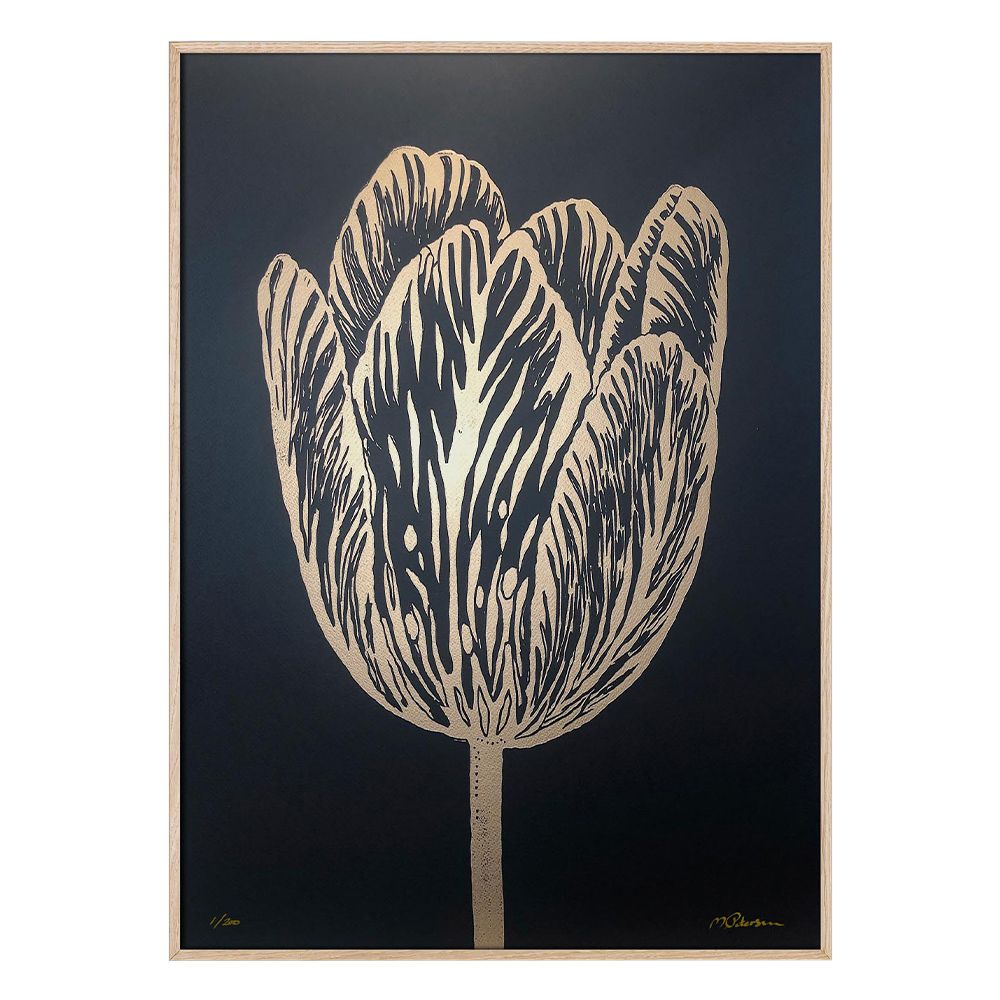 Druck Rembrandt Tulpe - gold/schwarz 50 × 70 cm