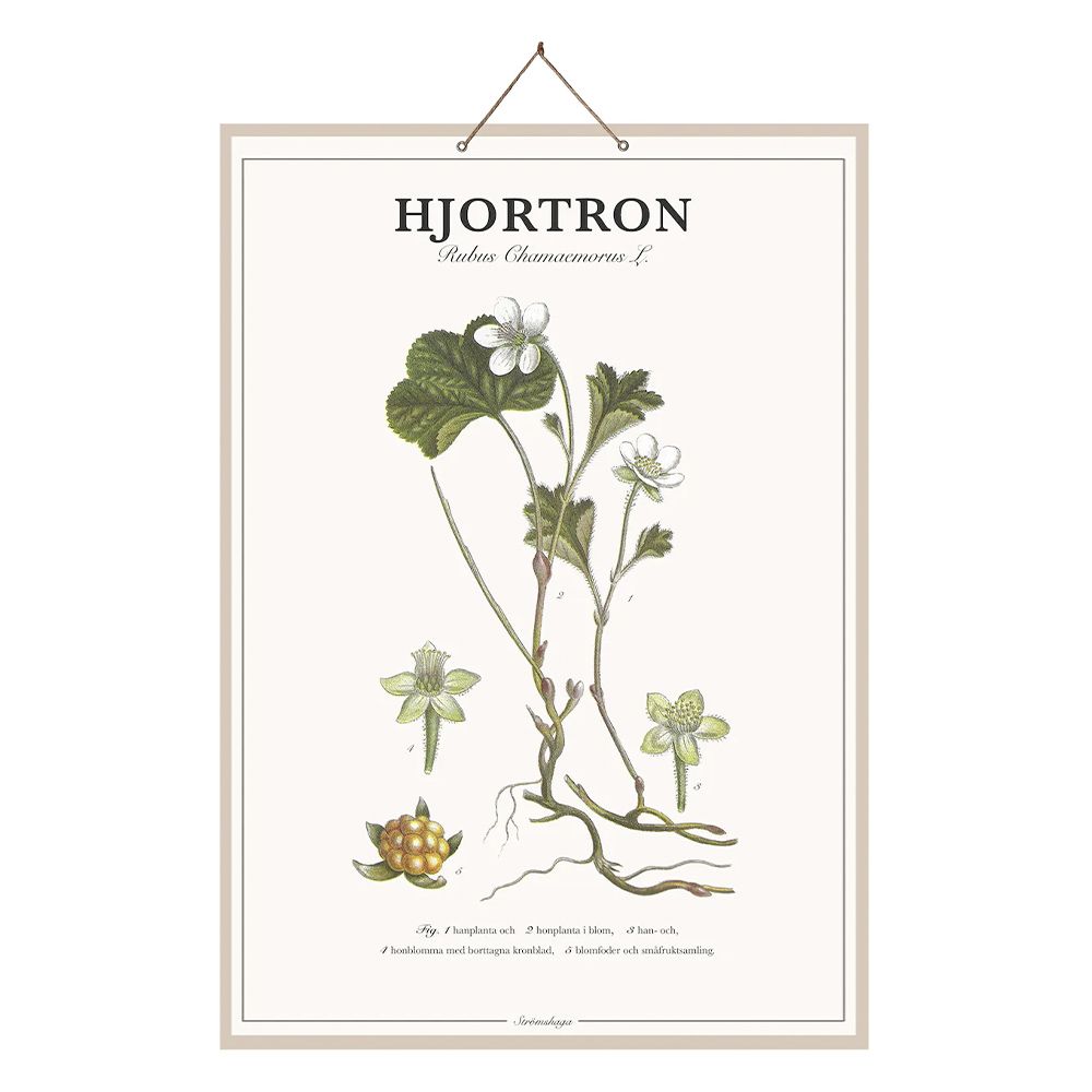 Tafel Hjortron- 44 x 66 cm