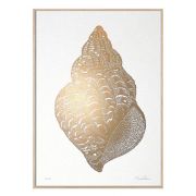 Druck Schneckenmuschel - gold/sand 50x70 cm