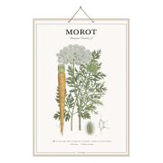 Tafel Morot - 44 x 66 cm