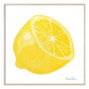 Druck Offene Zitrone - 50 × 50 cm