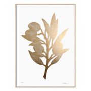 Druck Olivenzweig - gold/weiß 70 × 100 cm