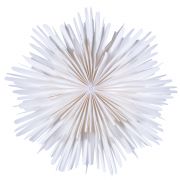 Leuchtstern Molly - weiß 44 cm