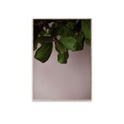 Poster - Green Leaves - 30x40 cm