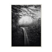 Poster Early Walk - 50 x 70 cm