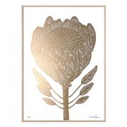 Druck King Protea - gold/weiß 50 × 70 cm