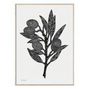 Druck Olive Branch - schwarz/weiß 50x70cm