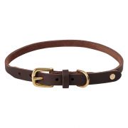 PRE ORDER Hundehalsband Robin Extra Large - in versch. Farben