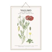Tafel Vallmo - 44 x 66 cm